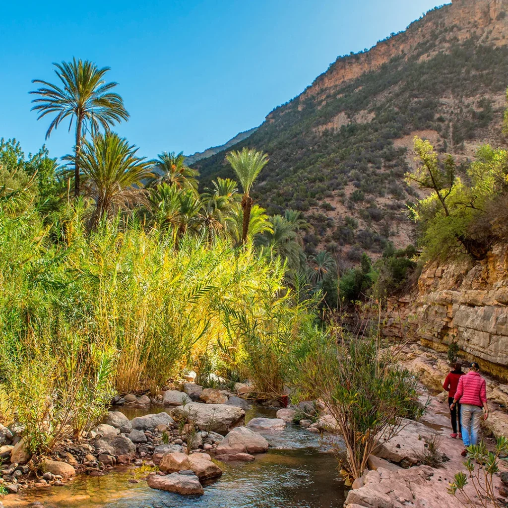 Paradise Valley Taghazout