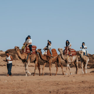 Camel Ride in Taghazout