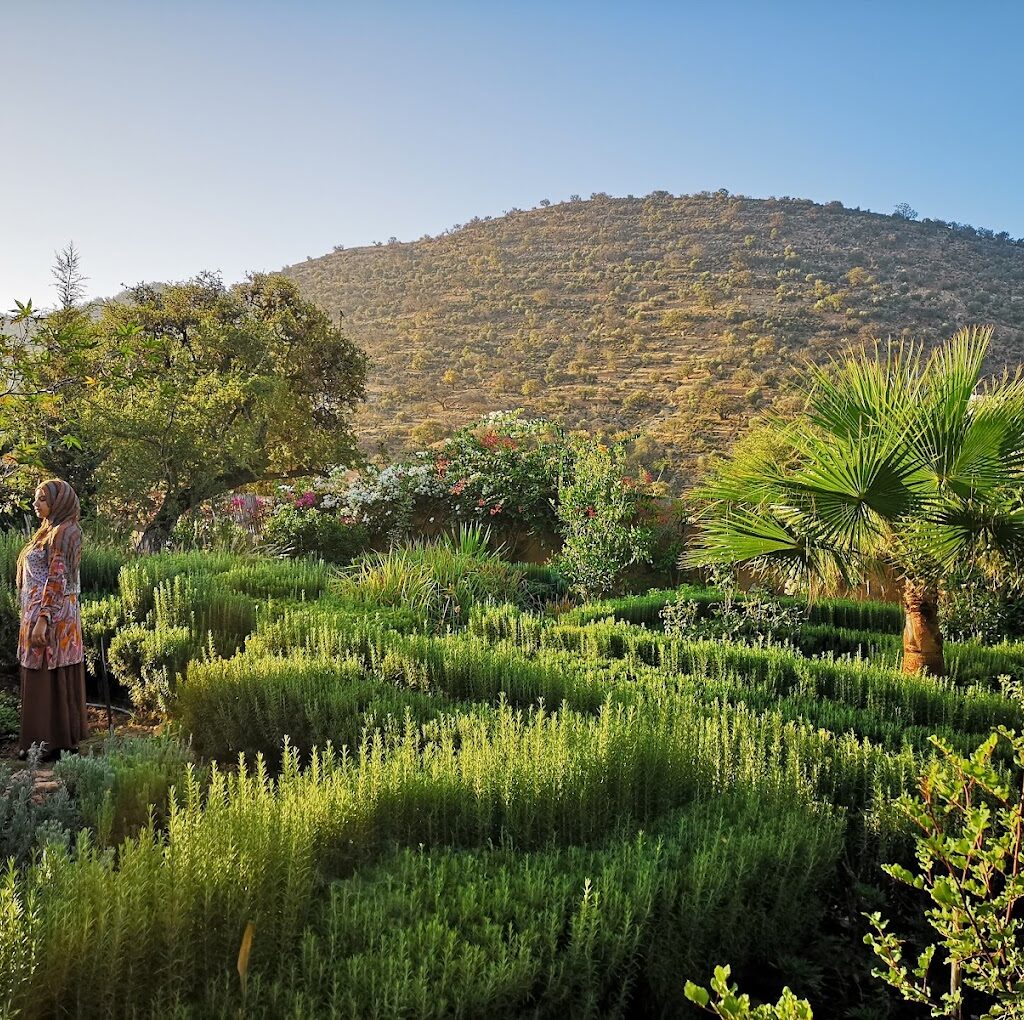 Local argan oil cooperative with an amazing botanical garden near Paradise Valley Morocco